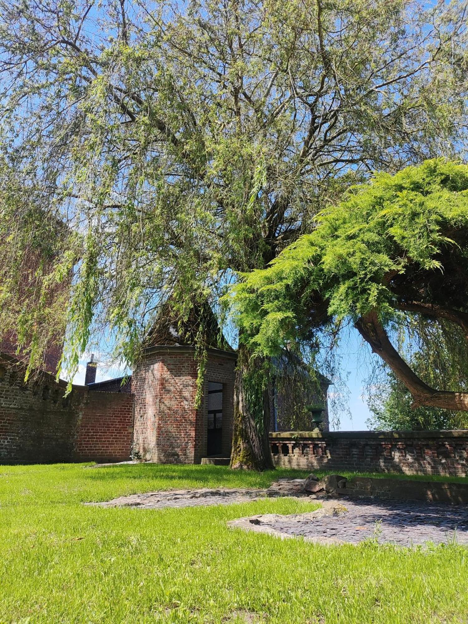 Le Relais Napoleon Bed & Breakfast Avesnes-sur-Helpe Екстериор снимка