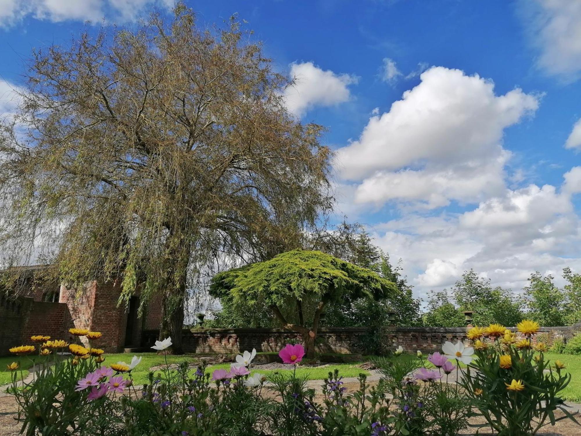 Le Relais Napoleon Bed & Breakfast Avesnes-sur-Helpe Екстериор снимка